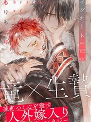 《铁骨少年团》抽屉封面